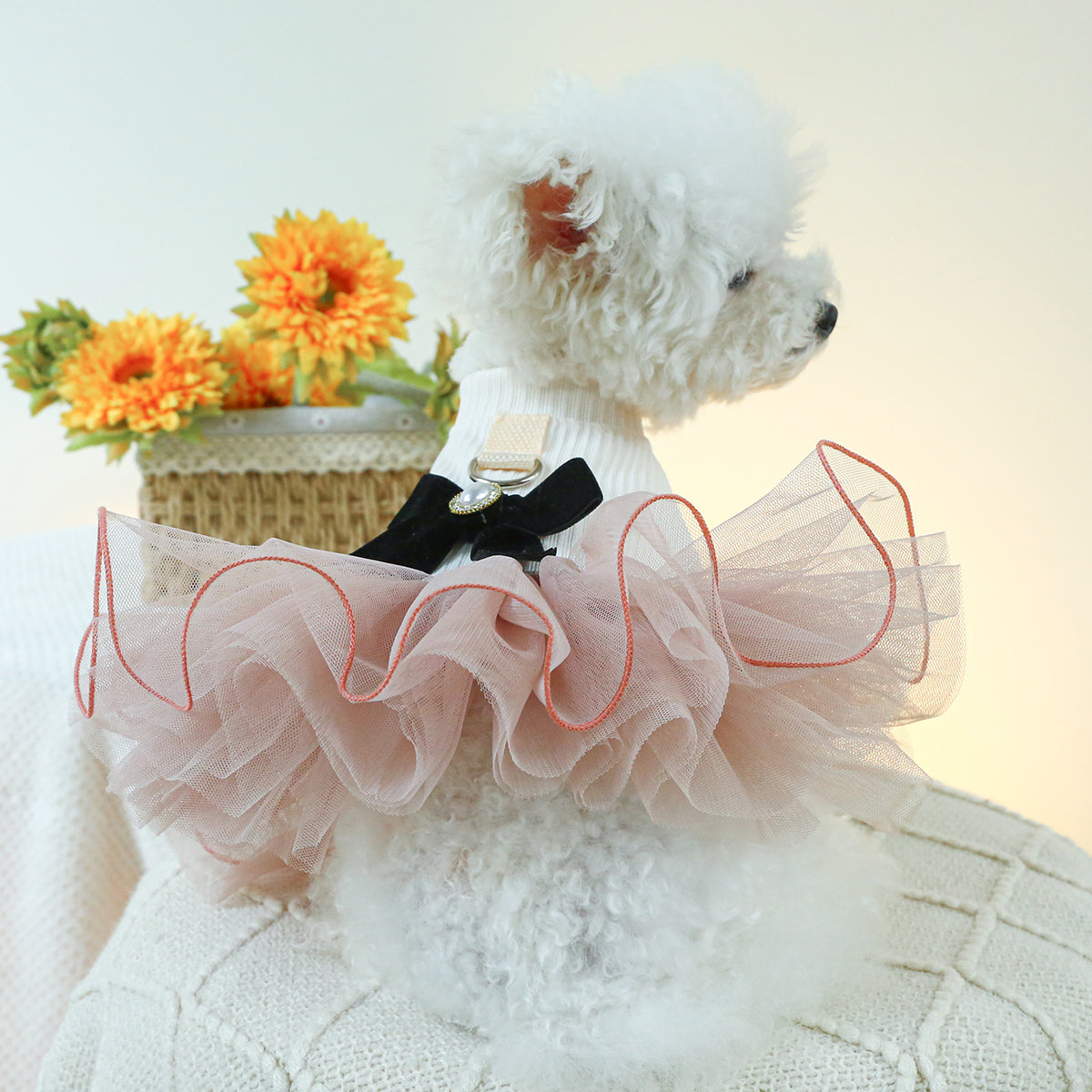 Proper Lady Dress