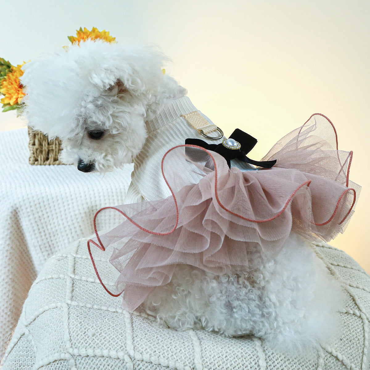 Proper Lady Dress