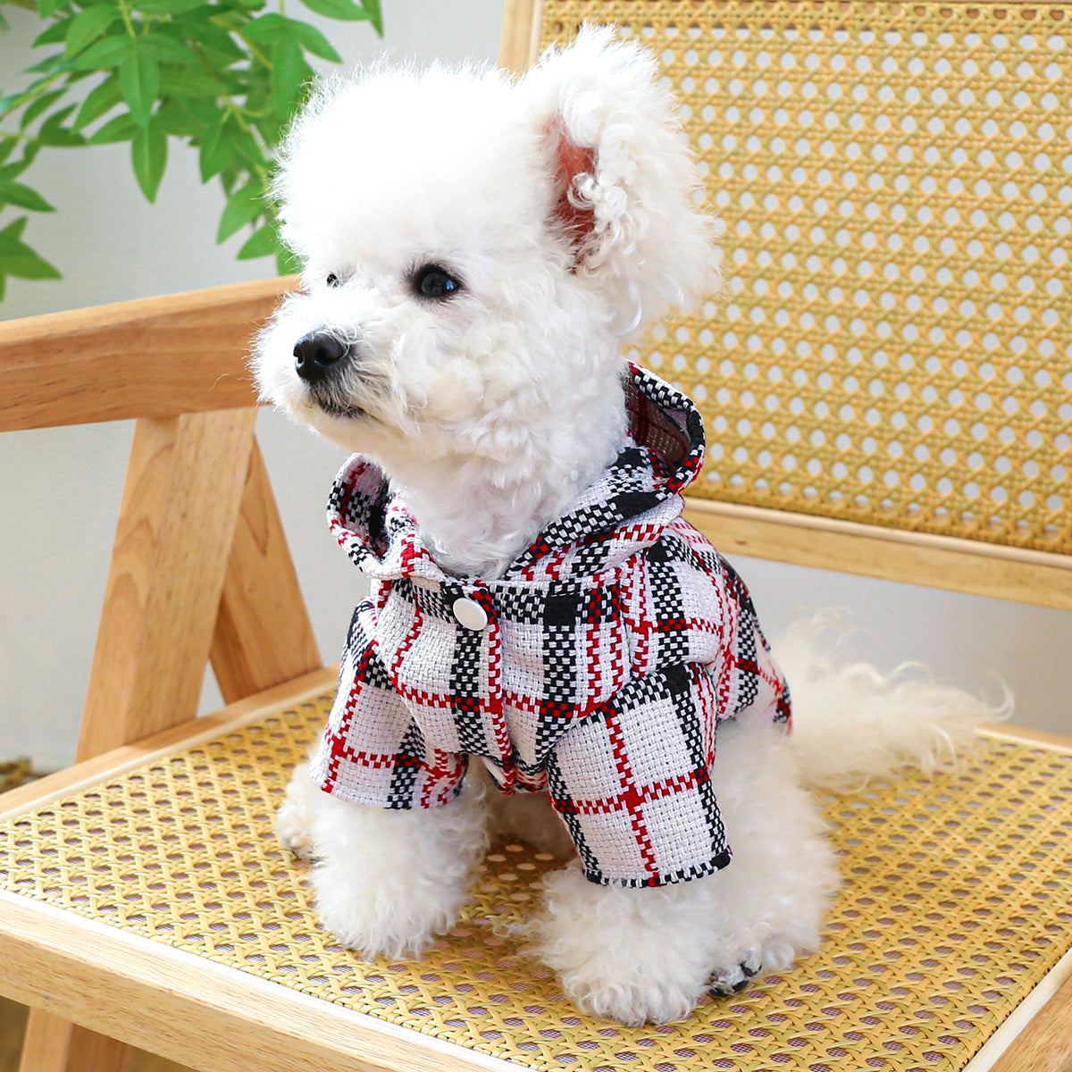 Plaid Raincoat