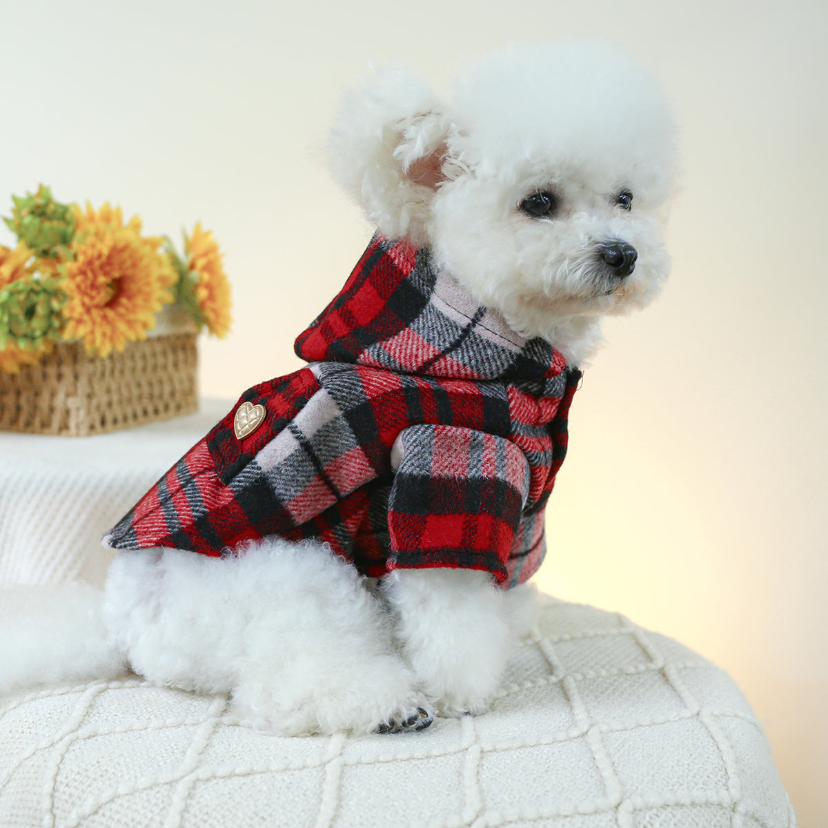 Plaid Raincoat