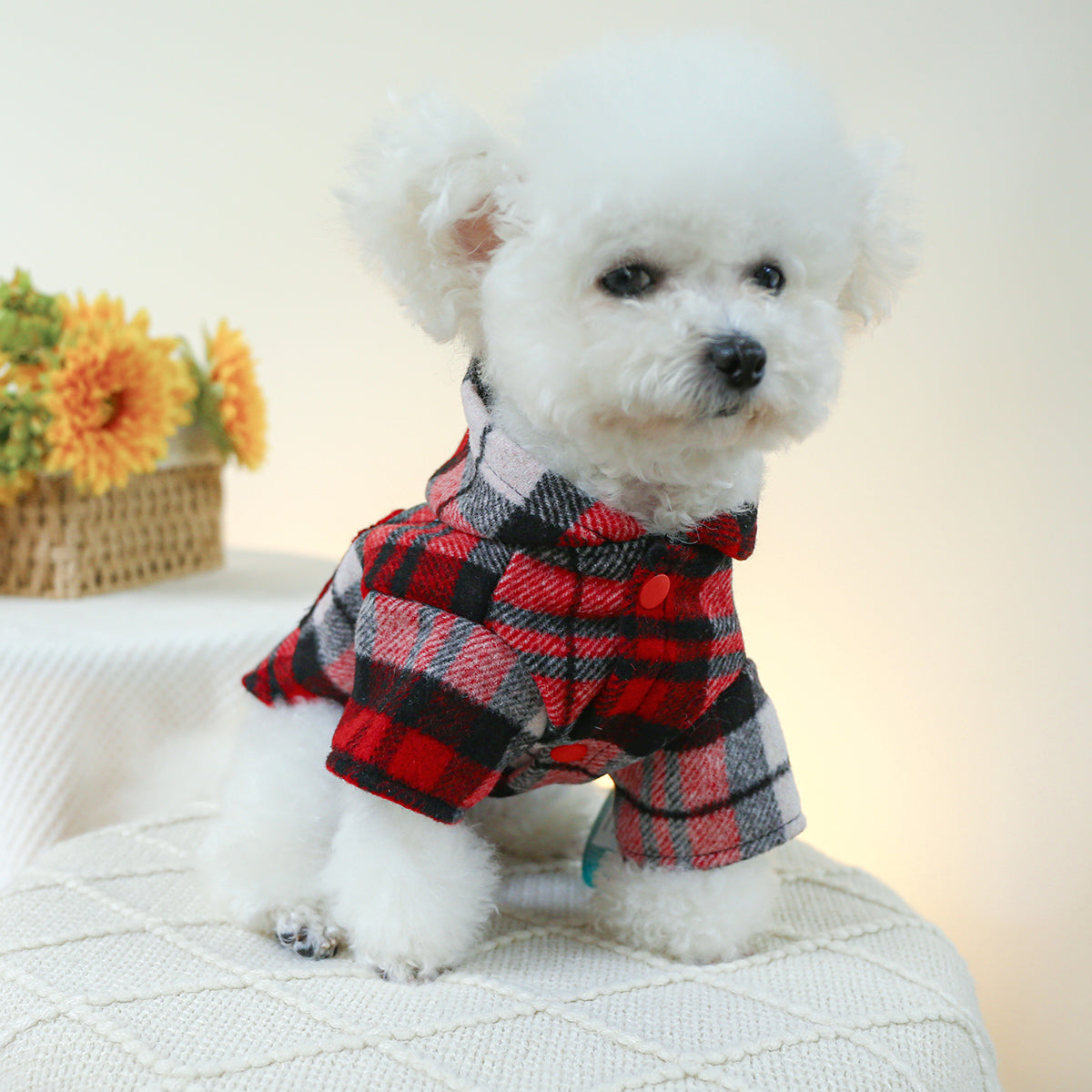 Plaid Raincoat