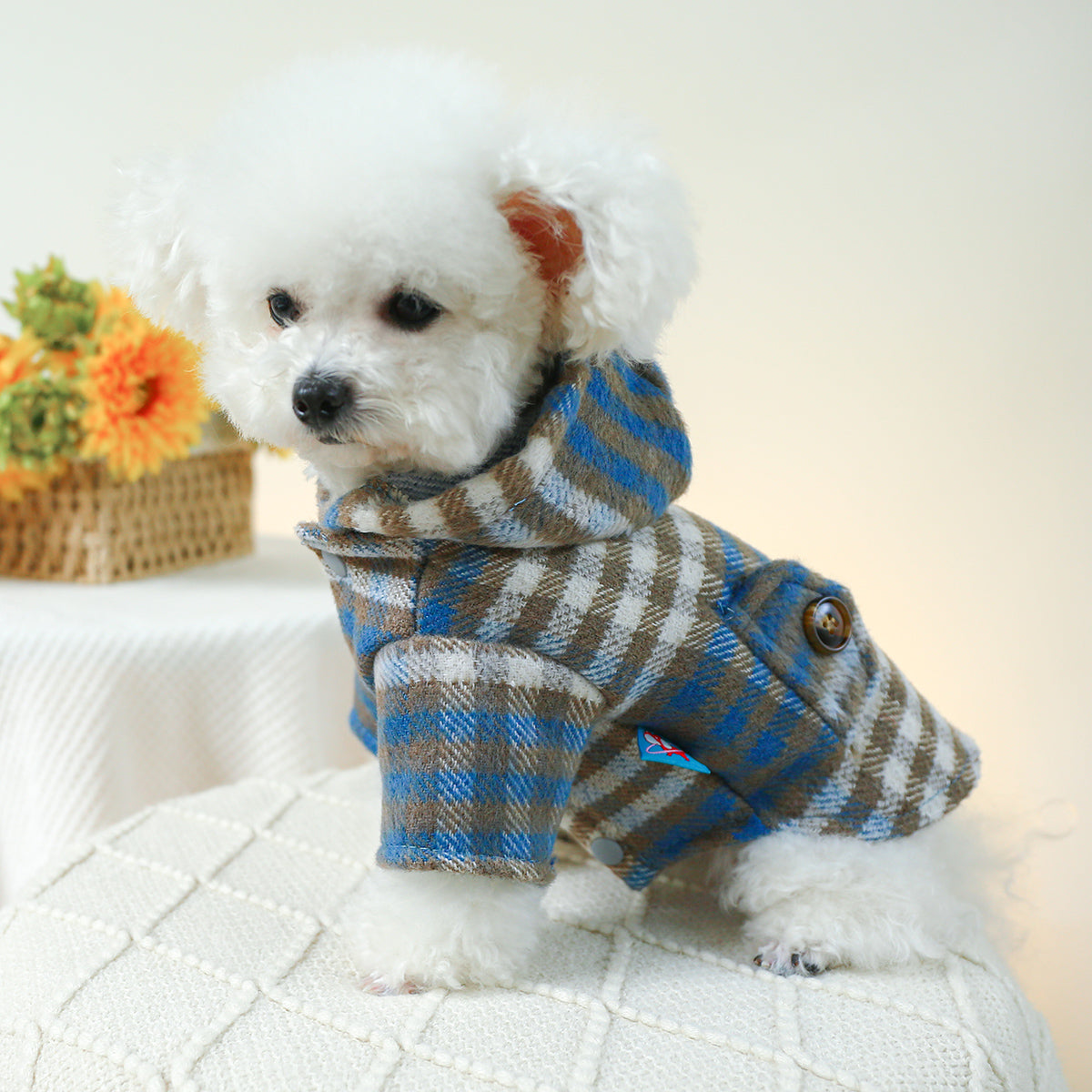 Plaid Raincoat